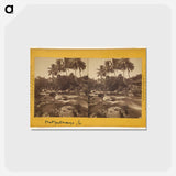 アートポストカード-Mazatenango
 - エドワード マイブリッジ Postcard.