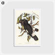 アートポストカード-Great Crow-Shrike
 - ジョン グールド Postcard.