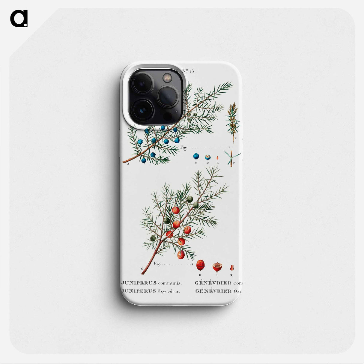 Common juniper - Pierre Joseph Redouté Phone Case.