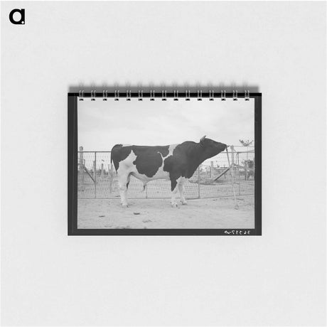 アートメモ帳-Chicago's African American Section
 - ラッセル リー Memo.