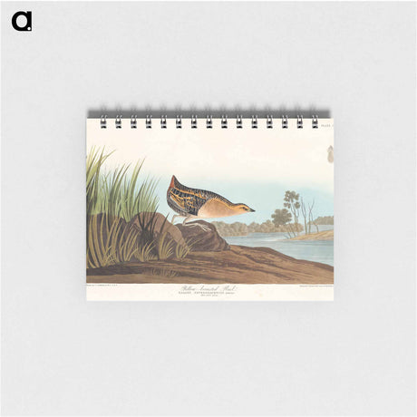 アートメモ帳-Yellow-breasted Rail from Birds of America
 - アメリカの鳥たち Memo.