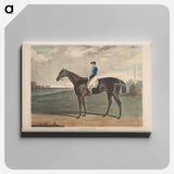 アートパネル-Cadland, the Winner of the Derby Stakes at Epsom
 - イェール大学アートギャラリー Canvas.