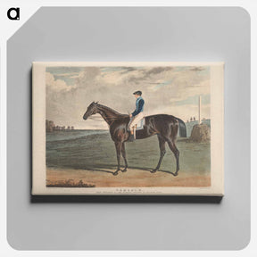 アートパネル-Cadland, the Winner of the Derby Stakes at Epsom
 - イェール大学アートギャラリー Canvas.