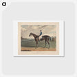 アートポストカード-Cadland, the Winner of the Derby Stakes at Epsom
 - イェール大学アートギャラリー Postcard.