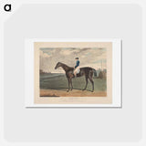 アートポストカード-Cadland, the Winner of the Derby Stakes at Epsom
 - イェール大学アートギャラリー Postcard.