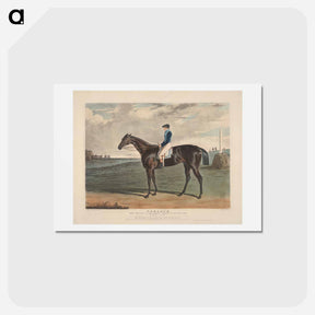 アートポストカード-Cadland, the Winner of the Derby Stakes at Epsom
 - イェール大学アートギャラリー Postcard.