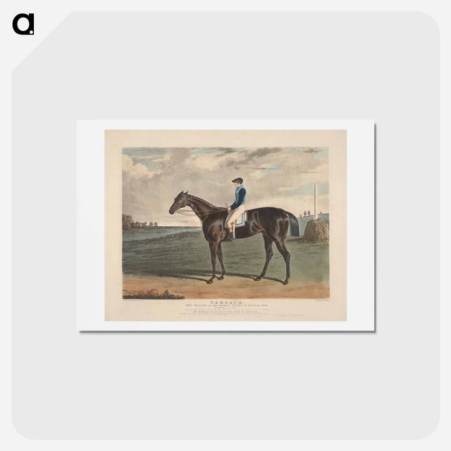 アートポストカード-Cadland, the Winner of the Derby Stakes at Epsom
 - イェール大学アートギャラリー Postcard.