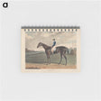 アートメモ帳-Cadland, the Winner of the Derby Stakes at Epsom
 - イェール大学アートギャラリー Memo.