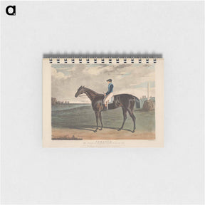 アートメモ帳-Cadland, the Winner of the Derby Stakes at Epsom
 - イェール大学アートギャラリー Memo.