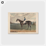 アートポストカード-Cadland, the Winner of the Derby Stakes at Epsom
 - イェール大学アートギャラリー Postcard.