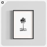 アートポスター-Palm Tree Engraving
 - 大英図書館 Poster.