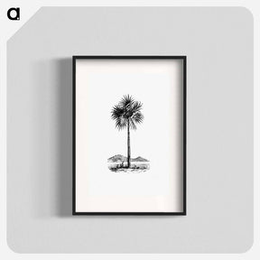 アートポスター-Palm Tree Engraving
 - 大英図書館 Poster.