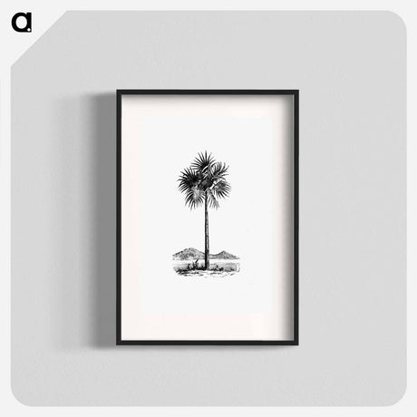 アートポスター-Palm Tree Engraving
 - 大英図書館 Poster.