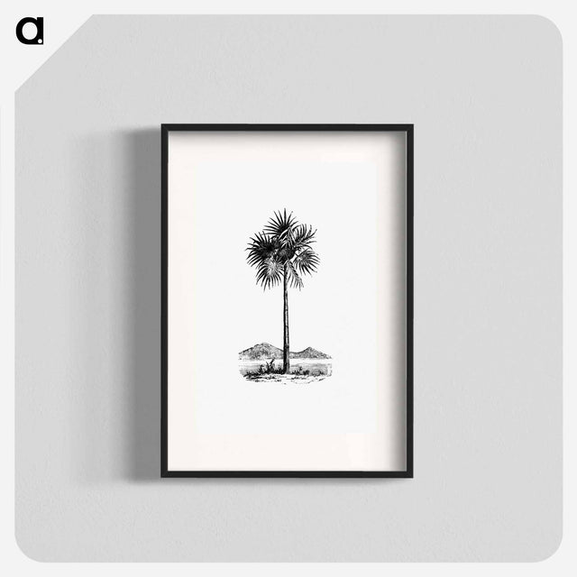 アートポスター-Palm Tree Engraving
 - 大英図書館 Poster.