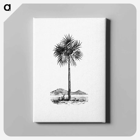 アートパネル-Palm Tree Engraving
 - 大英図書館 Canvas.