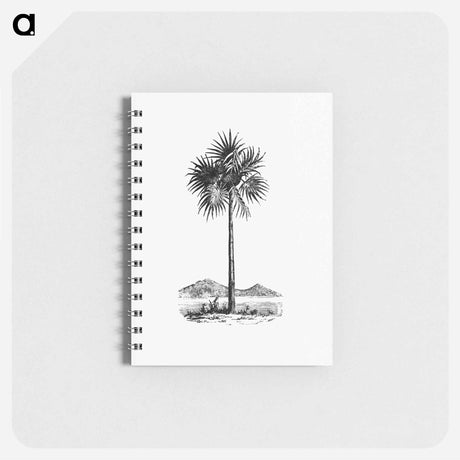 アートメモ帳-Palm Tree Engraving
 - 大英図書館 Memo.