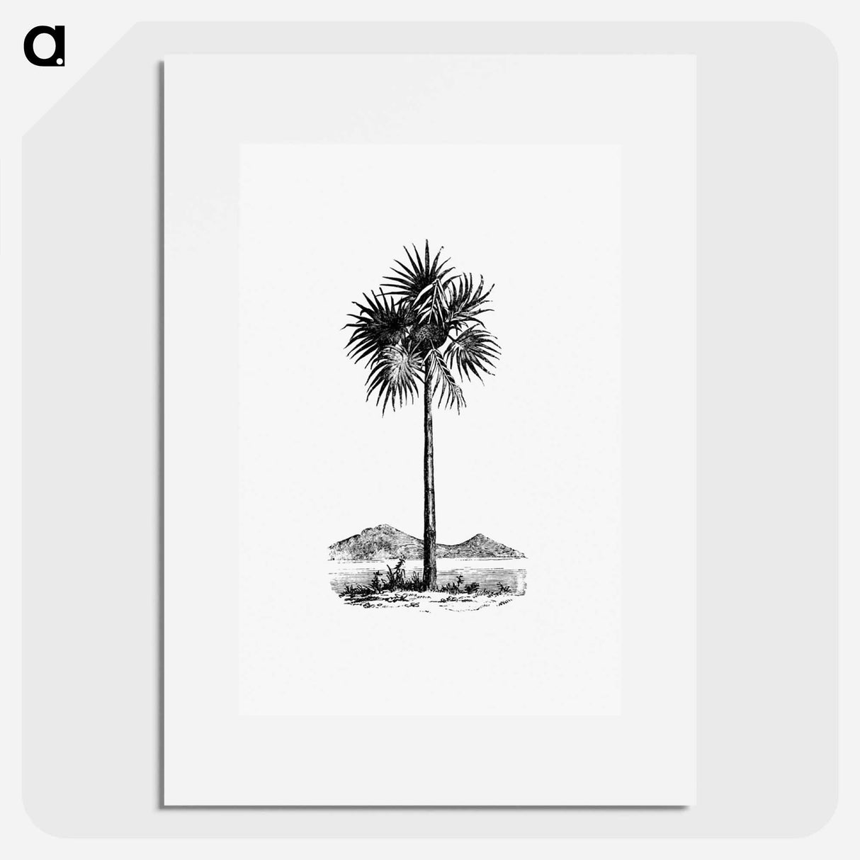 アートポスター-Palm Tree Engraving
 - 大英図書館 Poster.