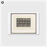 アートポストカード-Naked Horseman
 - エドワード マイブリッジ Postcard.