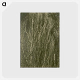 アートポストカード-Poplars, Lake George
 - セントルイス美術館 Postcard.