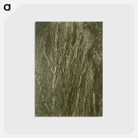 アートポストカード-Poplars, Lake George
 - セントルイス美術館 Postcard.