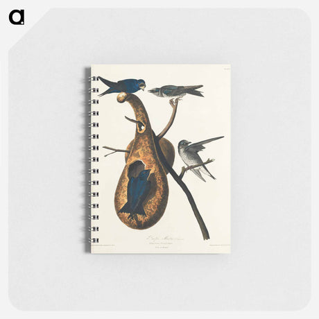アートメモ帳-Purple Martin from Birds of America
 - アメリカの鳥たち Memo.