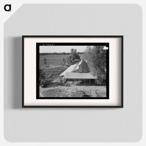 アートポスター-Tulare County. Mineral King Farm Cooperative Association. New barn under construction. California. - ドロテア ラング Poster.
