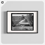 Tulare County. Mineral King Farm Cooperative Association. New barn under construction. California. - Dorothea Lange Poster.