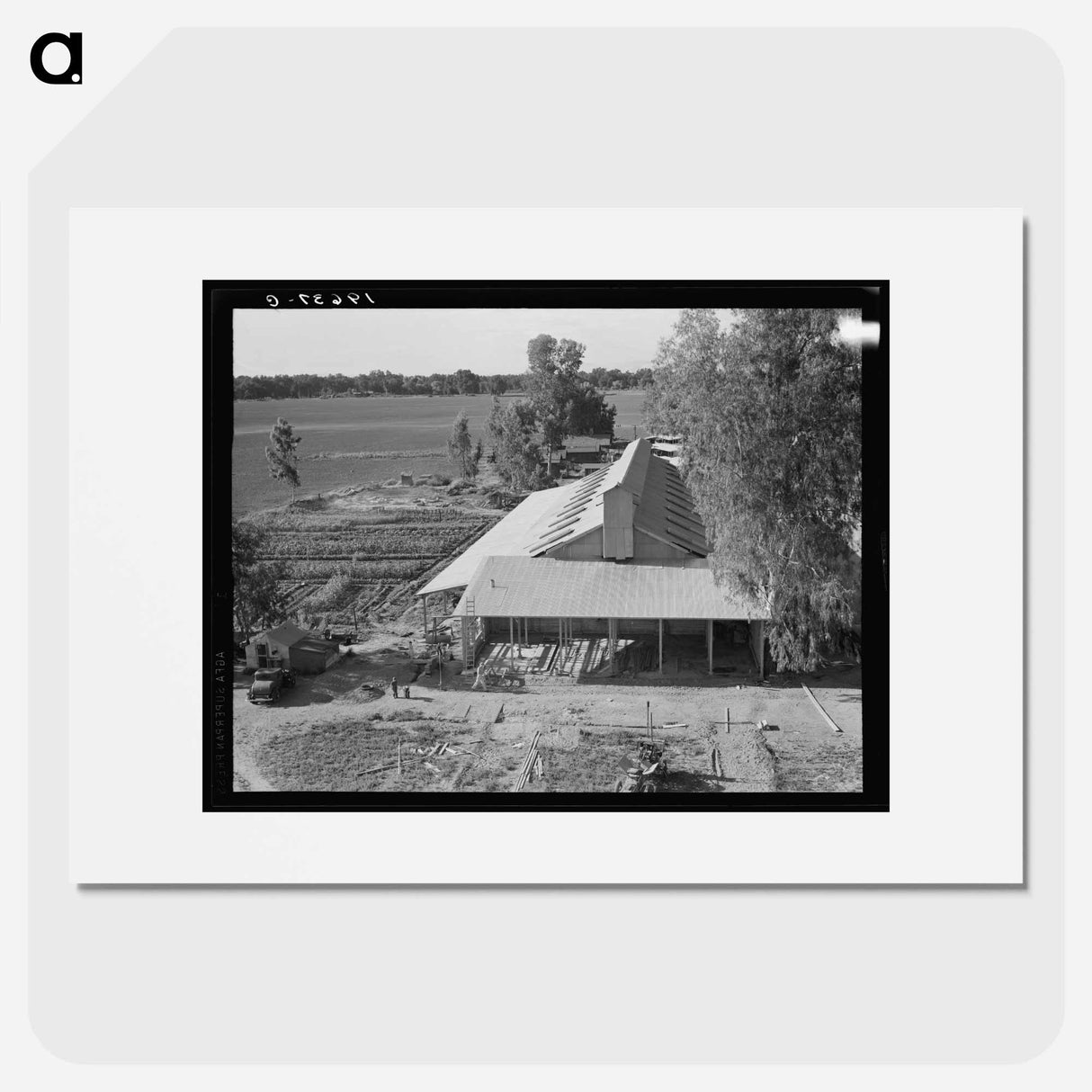 Tulare County. Mineral King Farm Cooperative Association. New barn under construction. California. - Dorothea Lange Poster.