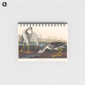 アートメモ帳-Tell-tale Godwit or Snipe
 - ジョン ジェームス オーデュボン Memo.