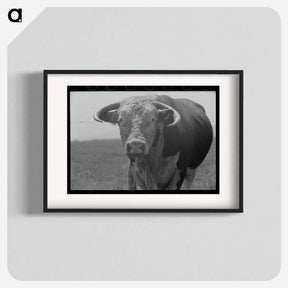 アートポスター-Bull's Head, Cruzen Ranch
 - ラッセル リー Poster.