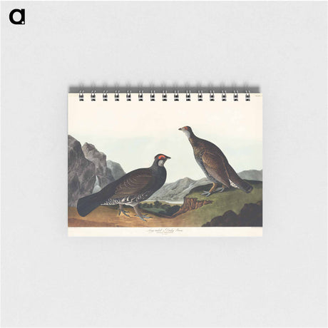 アートメモ帳-Long-tailed or Dusky Grous from Birds of America
 - アメリカの鳥たち Memo.