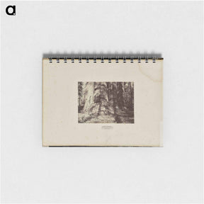アートメモ帳-Mammoth Tree Grove
 - エドワード マイブリッジ Memo.