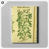 アートパネル-Zamer Maieron, wilder Maieron
 - 国立医学図書館 Canvas.