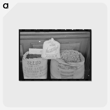 アートポストカード-San Augustine County Crops
 - ラッセル リー Postcard.