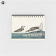 アートメモ帳-Wilson's Plover from Birds of America
 - アメリカの鳥たち Memo.
