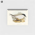 アートメモ帳-Great-footed Tern
 - オーストラリアの鳥 Memo.
