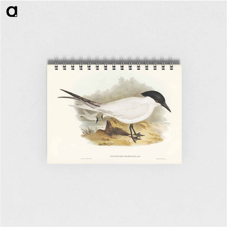 アートメモ帳-Great-footed Tern
 - オーストラリアの鳥 Memo.