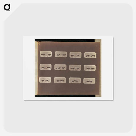 アートポストカード-Running
 - エドワード マイブリッジ Postcard.