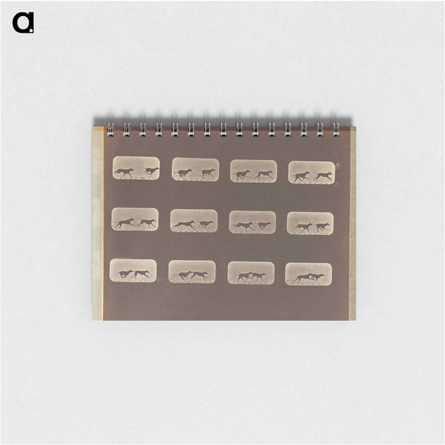 アートメモ帳-Running
 - エドワード マイブリッジ Memo.