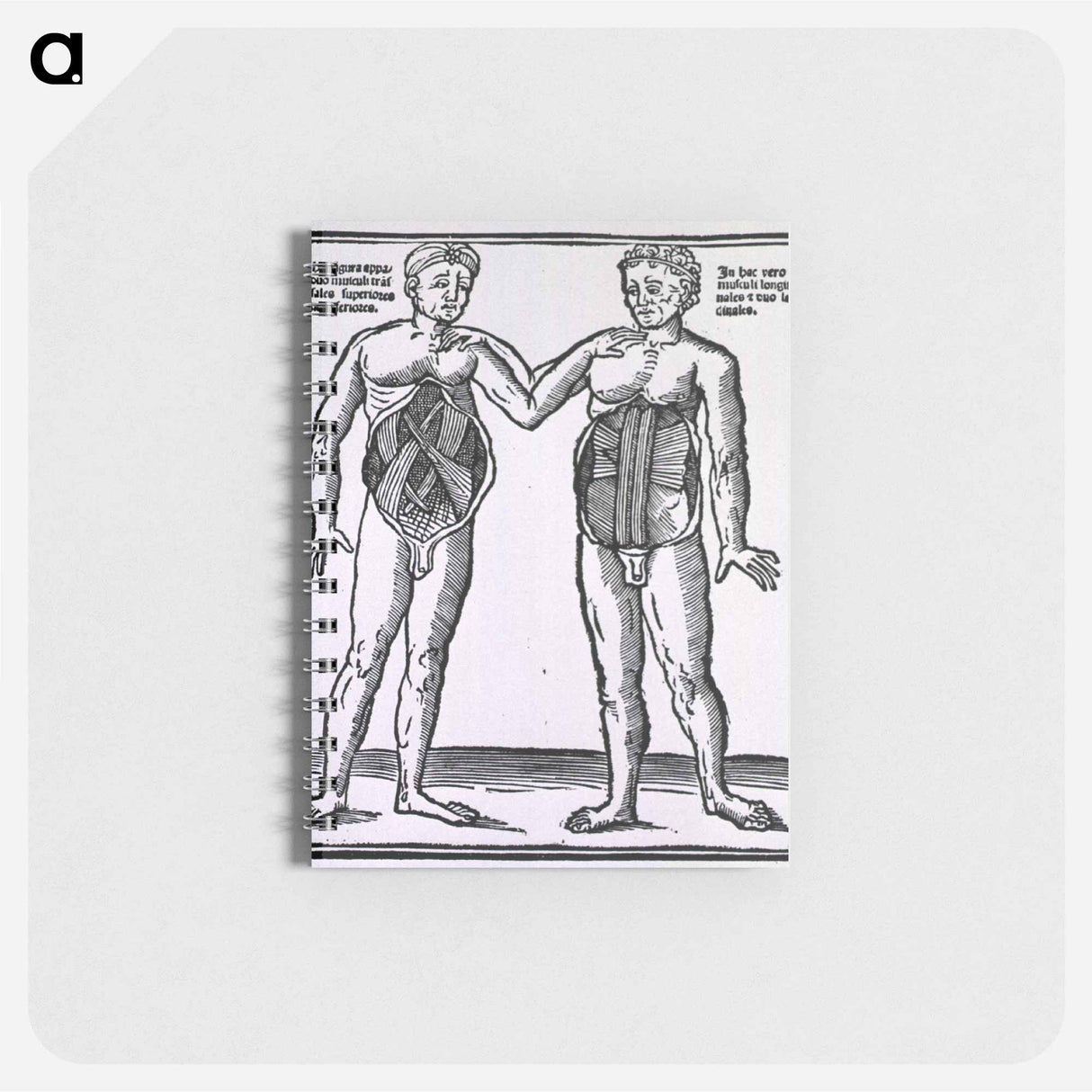 アートメモ帳-Abdominal Muscles
 - 国立医学図書館 Memo.