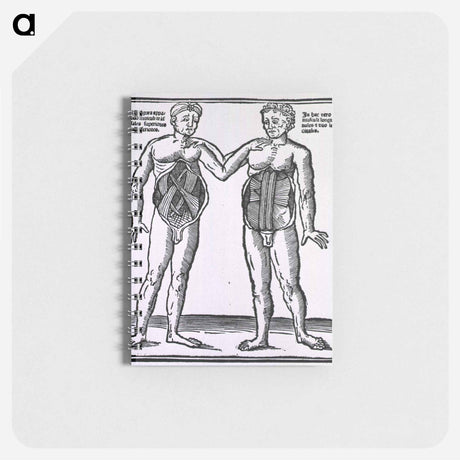 アートメモ帳-Abdominal Muscles
 - 国立医学図書館 Memo.