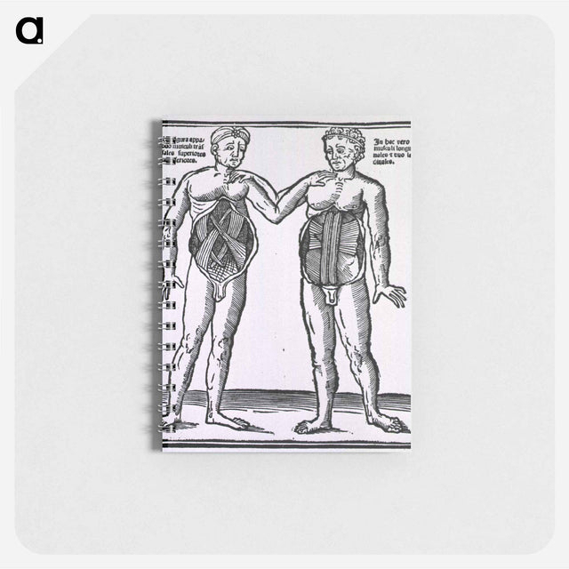 アートメモ帳-Abdominal Muscles
 - 国立医学図書館 Memo.