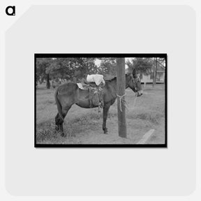 アートポストカード-San Augustine Saturday
 - ラッセル リー Postcard.