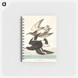 アートメモ帳-Townsend's Sandpiper from Birds of America
 - アメリカの鳥たち Memo.