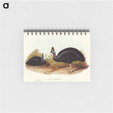 アートメモ帳-Australian Cassowary
 - オーストラリアの鳥 Memo.
