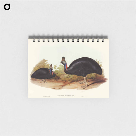アートメモ帳-Australian Cassowary
 - オーストラリアの鳥 Memo.