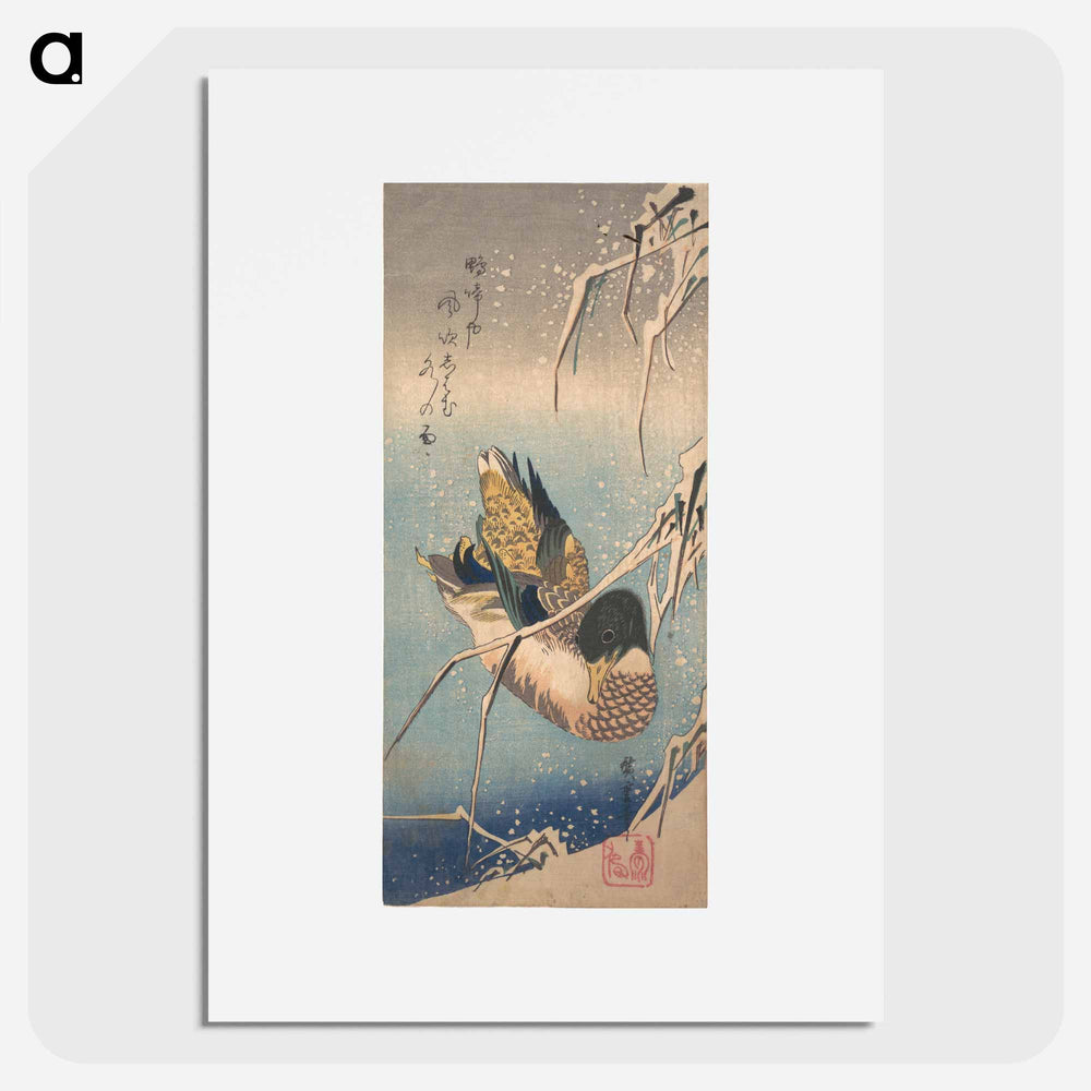 アートポスター-Mallard and Snow-covered Reeds
 - 歌川 広重 Poster.