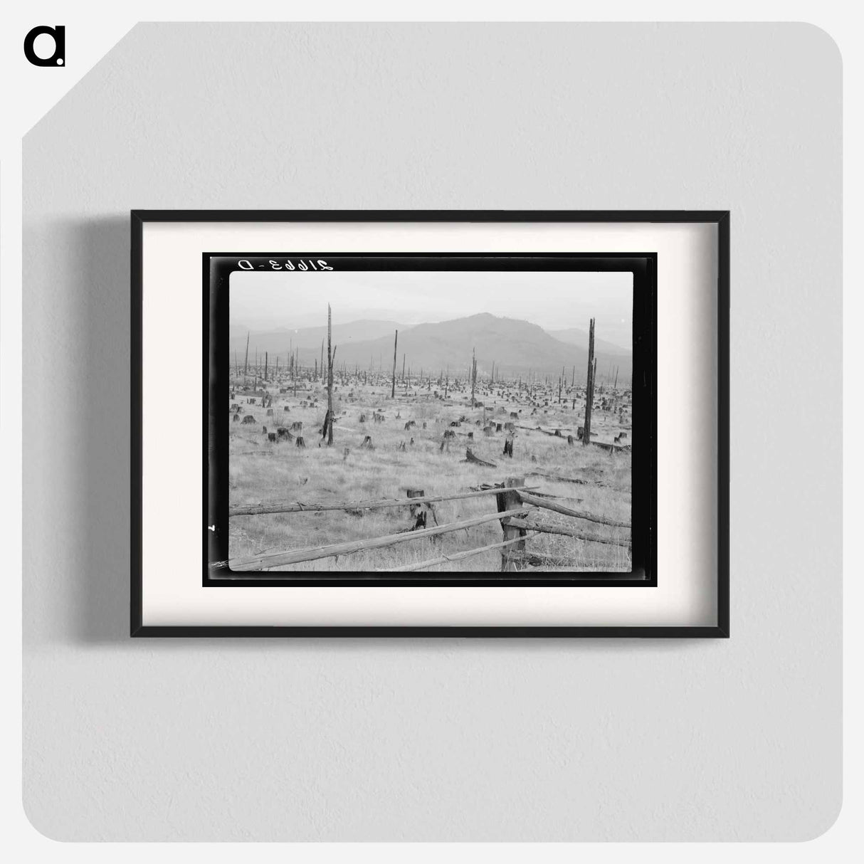 Stumps and sags on uncleared land - Dorothea Lange Poster.