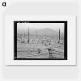 Stumps and sags on uncleared land - Dorothea Lange Poster.