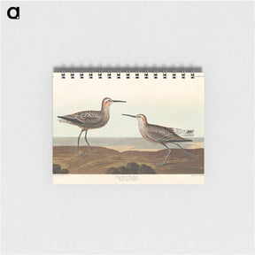 アートメモ帳-Long-legged Sandpiper
 - ジョン ジェームス オーデュボン Memo.